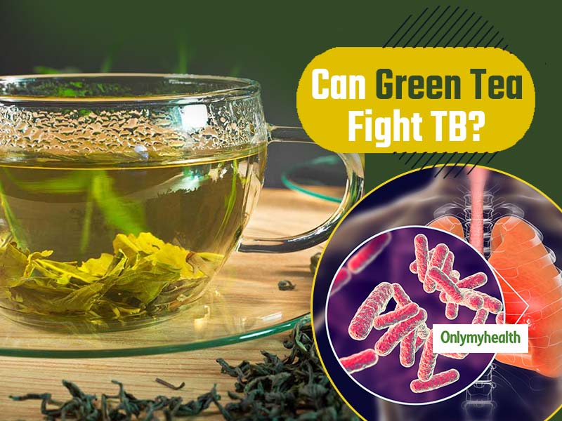 Green Tea Plant May Be Helpful in Tuberculosis Treatment, Finds Research
